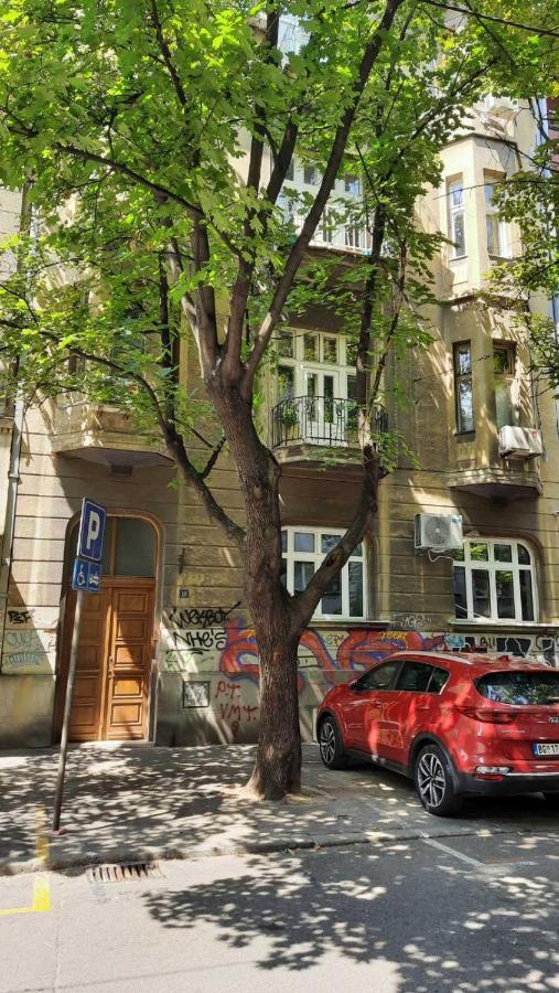 Duplex Studio Mansarda Apartment Белград Екстериор снимка